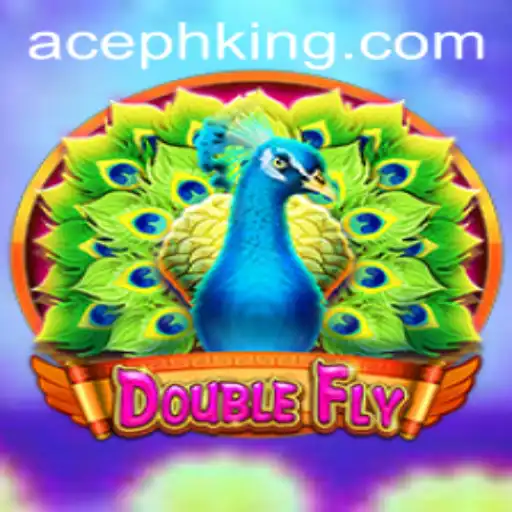 Discovering DoubleFly: A New Phenomenon in the Gaming World